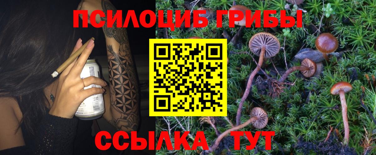 Псилоцибиновые грибы мухоморы  Псилоцибиновые грибы Psilocybine cubensis  Вход с VPN  Петропавловск-Камчатский 